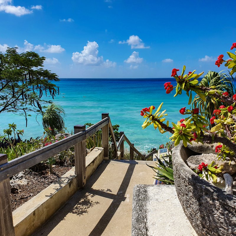 Wooden steps leading down to the turquoise Caribbean sea